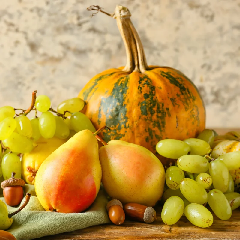 varios productos sostenibles de otoño