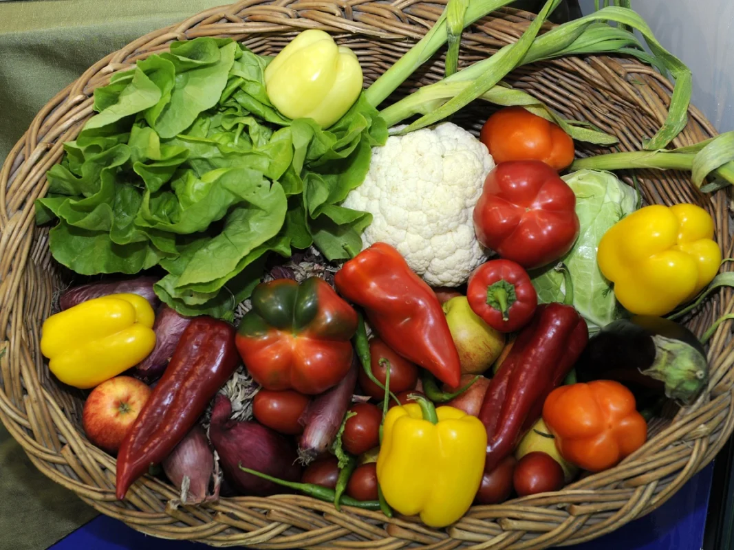 verduras ecológicas de otoño